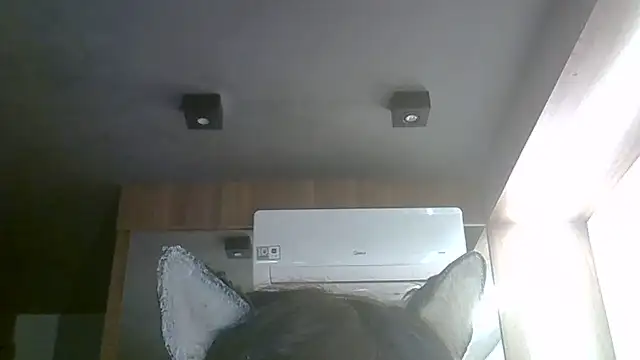 Skinny-Kitten online show from June 1, 2026, 3:47 pm