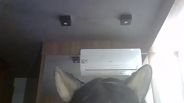 Snapshot of Skinny-Kitten chatting on June 27, 2026, 1:28 pm Skinny-Kitten online show from June 27, 2026, 1:28 pm