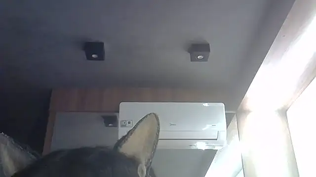 Snapshot of Skinny-Kitten chatting on June 28, 2026, 1:33 am Skinny-Kitten online show from June 28, 2026, 1:33 am