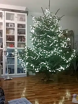 SexyDreamercouple89 online show from December 7, 2024, 6:48 pm