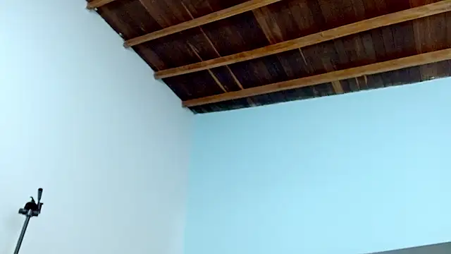 sophia hadid online show from January 18, 2025, 7:58 pm