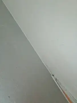 Stomps33 online show from February 5, 2026, 10:58 pm