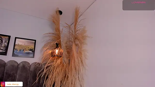 cute  cherry  online show from April 14, 2026, 8:26 pm