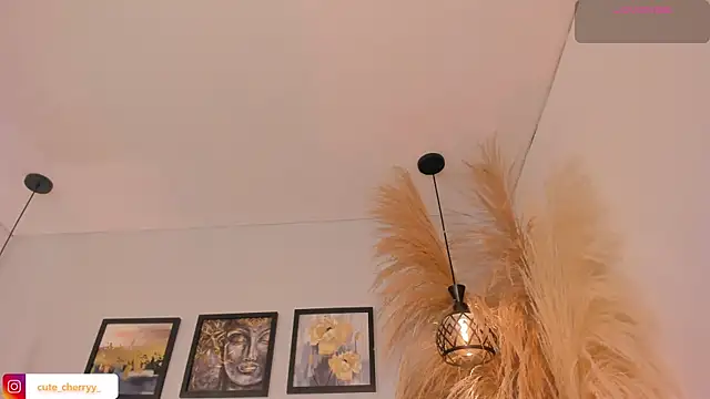 cute  cherry  online show from July 14, 2026, 2:05 am