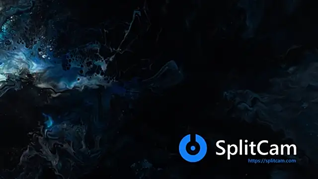 vanered2 online show from February 15, 2026, 11:41 am