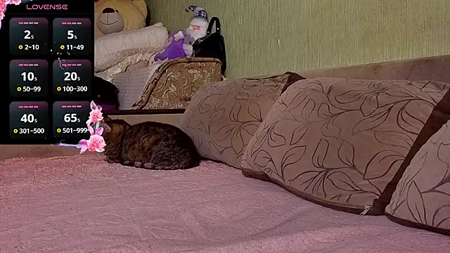 Miss Flexi fit online show from November 30, 2025, 8:57 pm