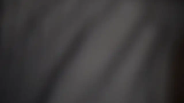 -AyeshaSinghania- online show from February 17, 2026, 1:29 pm