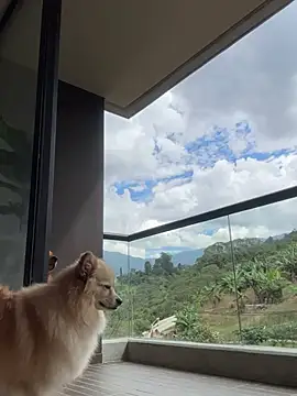 Helenbronwx online show from January 6, 2025, 6:52 pm