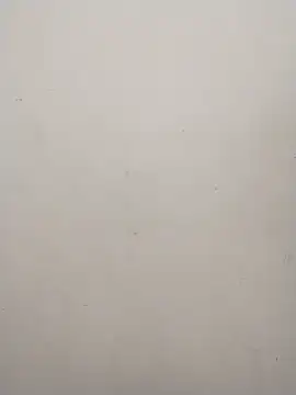 Shuttii 25 online show from December 21, 2024, 7:56 am