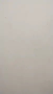 Shuttii 25 online show from January 23, 2025, 4:30 am