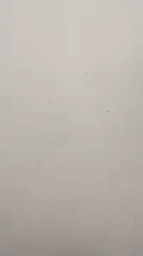 Shuttii 25 online show from January 25, 2025, 10:08 am