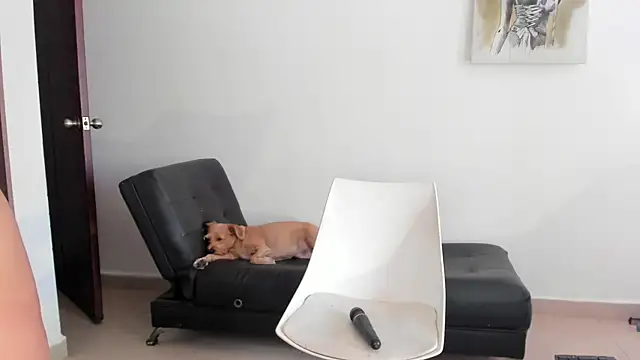 Snapshot of selene_king2 chatting on December 10, 2024, 6:17 pm selene king2 online show from December 10, 2024, 6:17 pm