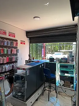  alabina  online show from January 13, 2026, 2:44 pm