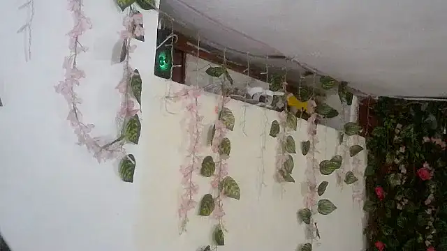 emmafox ls online show from November 2, 2025, 11:29 pm