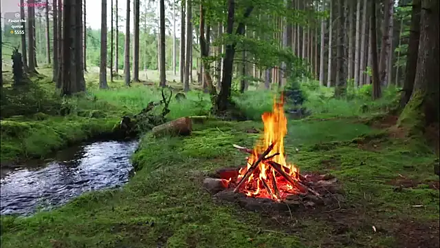 rusbigpaul online show from February 12, 2025, 7:13 pm