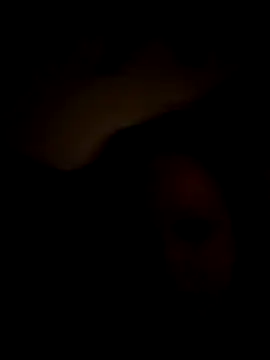 Cumslutsnowbunnie69 online show from December 22, 2025, 7:16 am