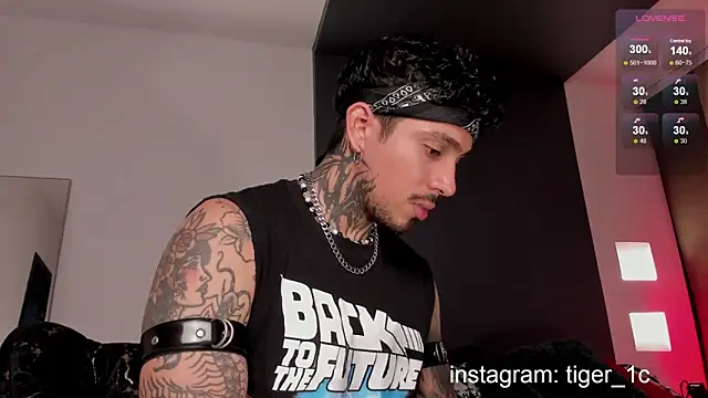 TigerStripes1  online show from December 11, 2024, 11:54 pm