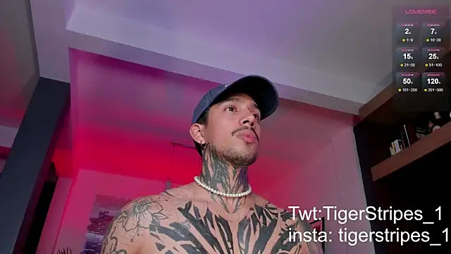 TigerStripes1  online show from March 3, 2025, 11:46 pm