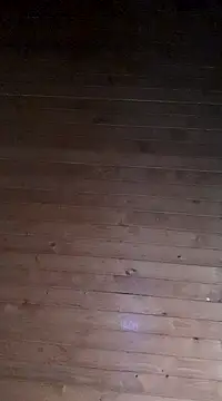 Snapshot of aliosa23 chatting on January 21, 2025, 2:37 pm aliosa23 online show from January 21, 2025, 2:37 pm