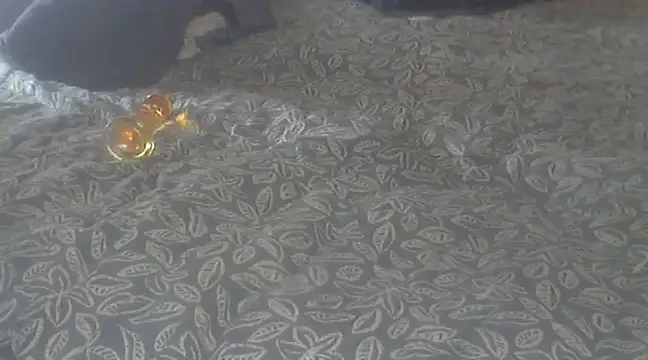 Snapshot of michaelknight101 chatting on December 15, 2024, 1:22 pm michaelknight101 online show from December 15, 2024, 1:22 pm