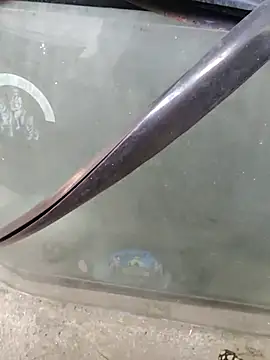 Kolkata   Boy online show from February 2, 2025, 8:46 am