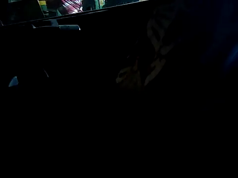 Kolkata   Boy online show from September 16, 2025, 4:52 pm